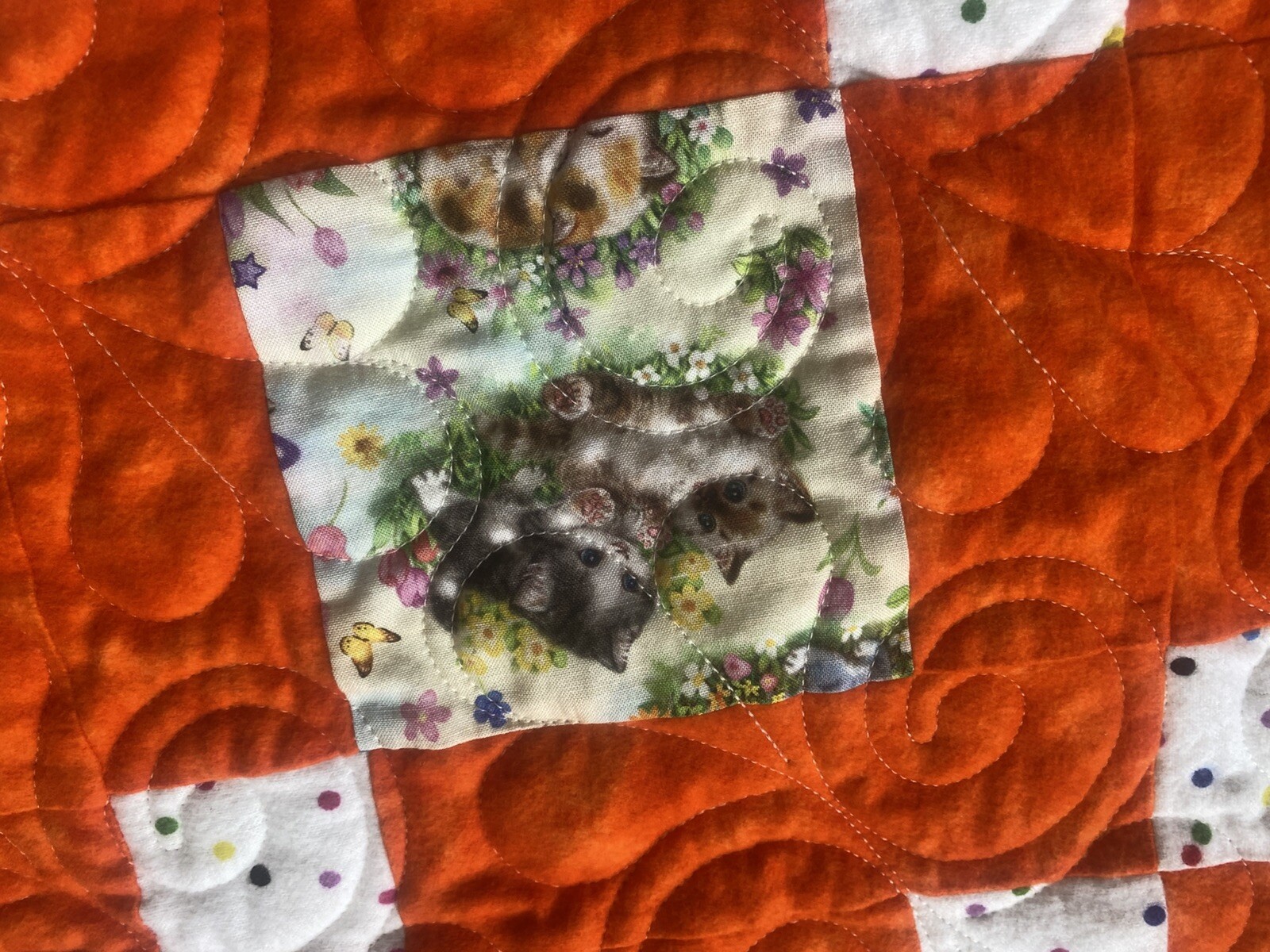 Picture 17 of 24