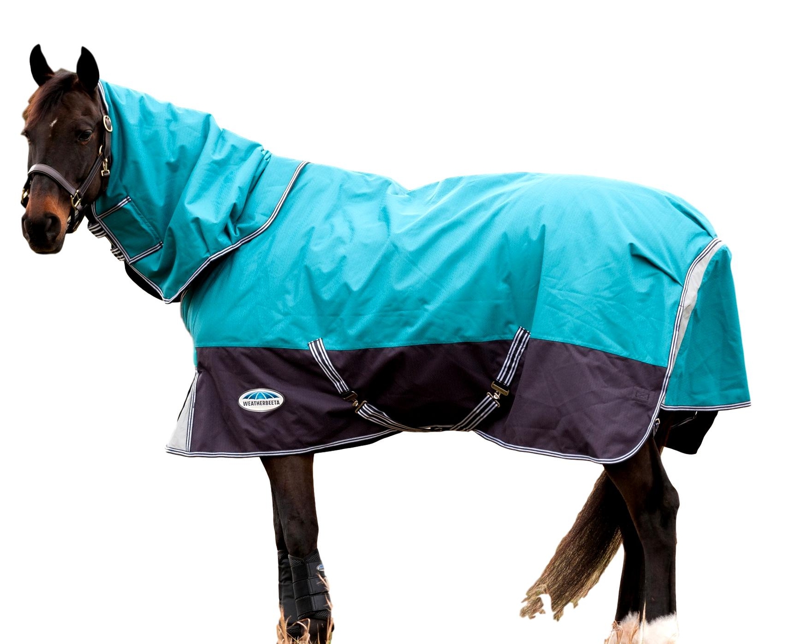 Weatherbeeta Comfitec Premier gratuito DetachANeck Medium Turnout Blanket Weatherbeeta Comfitec Premier gratuito DetachANeck Medium Turnout Blanket