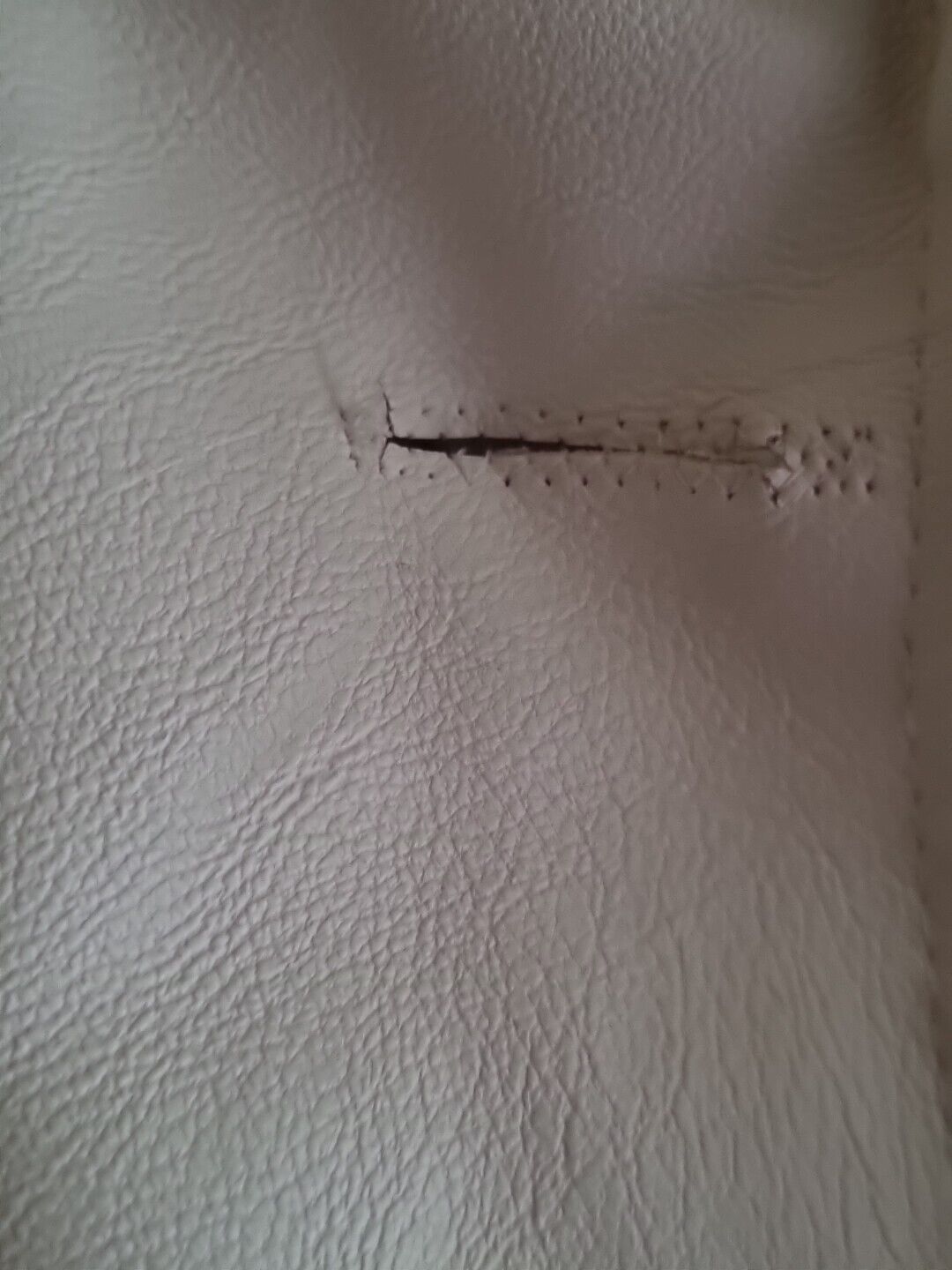 Bild 5 von 12