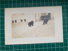 Postcard Posted Used  Family Brefkort & other Sweden Vintage before 1940  #676