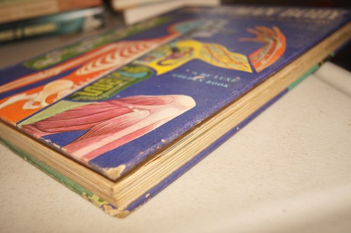 The Human Body Illustrated Colorful Pullout Deluxe Golden Book 1959 1961 Vintage - Picture 6 of 17