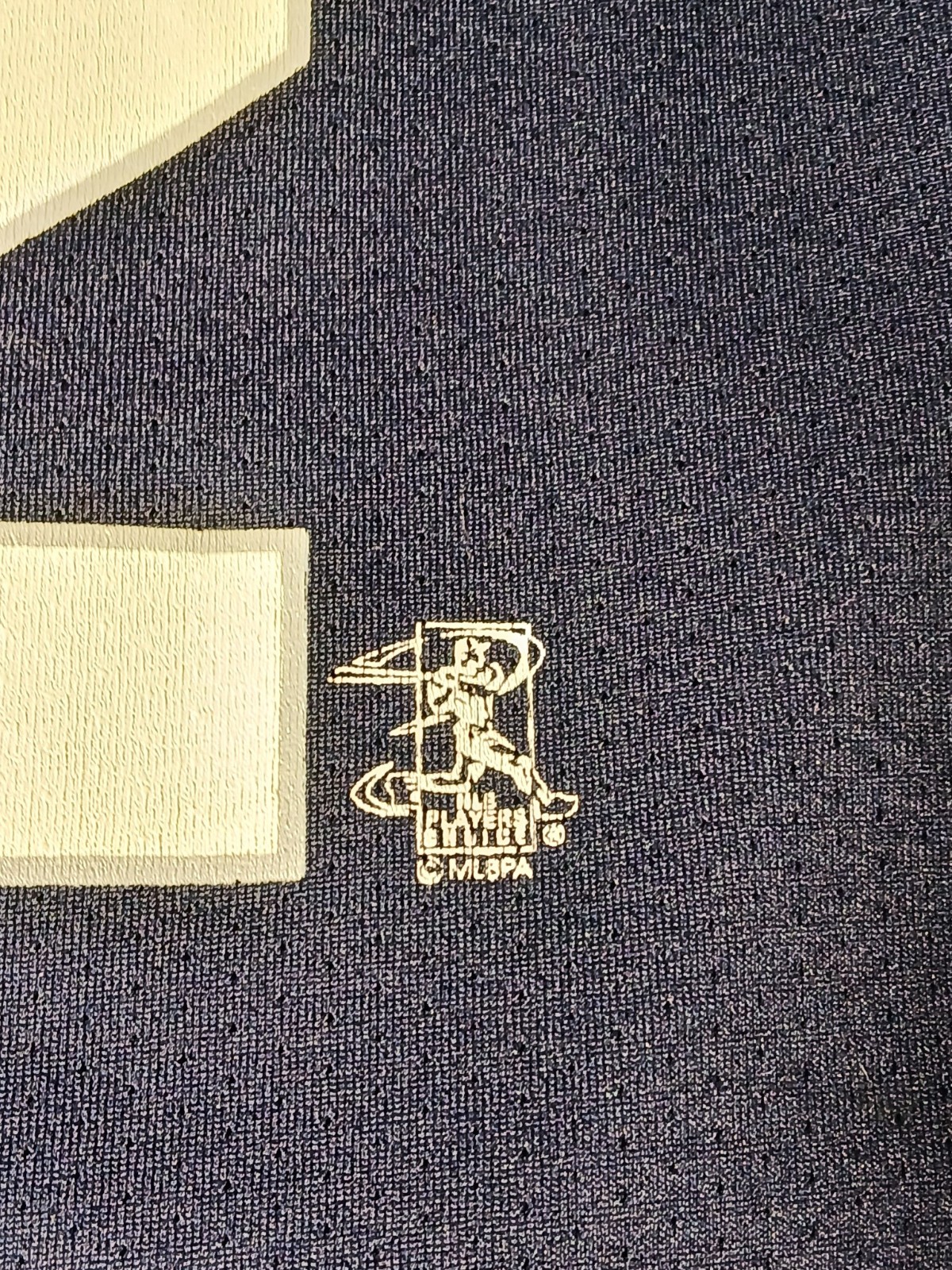 Picture 13 of 19