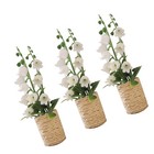 3 Pcs Miniature Bonsai Potted Plants Dollhouse Flowers Faux Hyacinth