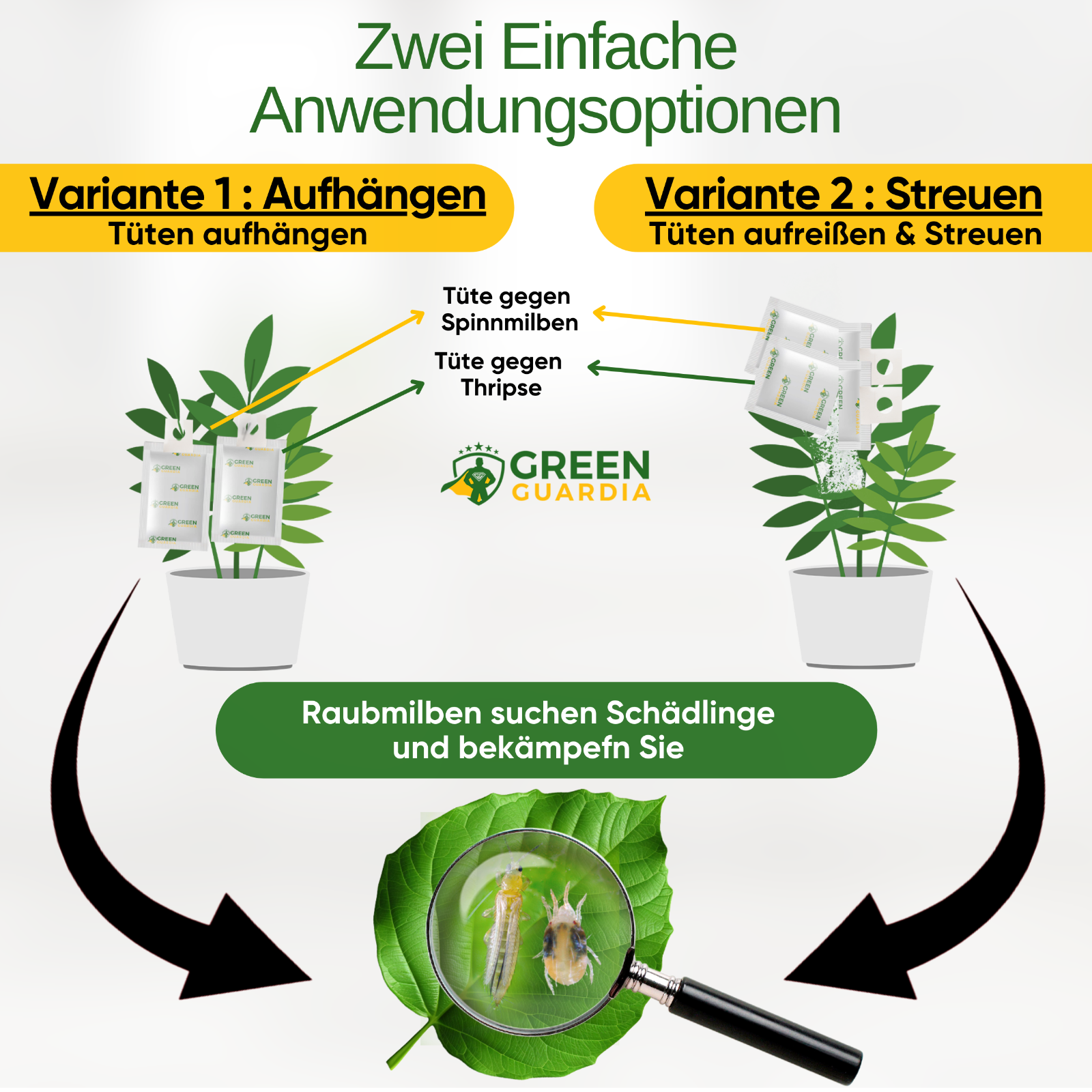 Bild 18 von 43
