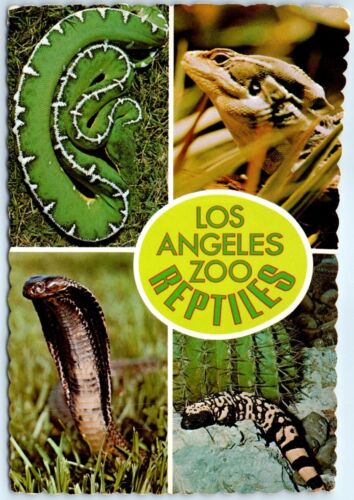 Postcard - Los Angeles Zoo, Reptiles, California, USA