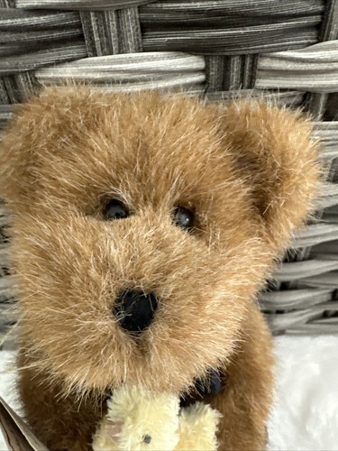 Peluche Boyds Bears Edmund Anatroccolo Pulcino Teddy Head Bean Bailey Friends 8" 2004 - Foto 3 di 14