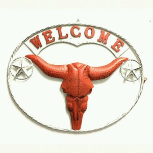 Texas Longhorn 24 X 18 Metal Wall Art Western Home Decor New Ebay