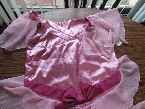 Hermione Granger Yule Ball Youth XL Gown – Brand New
