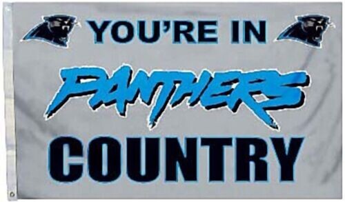 CAROLINA PANTHERS COUNTRY grey 3X5 FLAG #1 Quality Genuine NFL Licensed - Picture 1 of 3