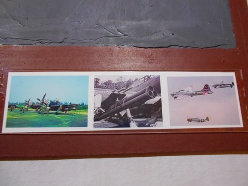 WORLD WAR II - P-47 THUNDERBOLT THE BUG 1/48 MODEL - DIORAMA W/ PLEXIGLAS COVER - Picture 11 of 15