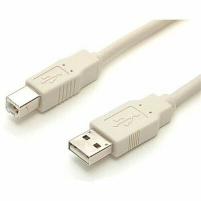 StarTech 10ft Beige A to B USB 2.0 Cable - M/M