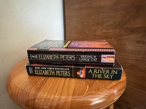 Elizabeth Peters Lot of 12 Books Amelia Peabody Mystery Paperback Egypt Fiction - Picture 7 of 8
