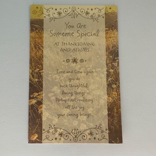 10 Pack America Greetings Thanksgiving Cards, 5 Varieties, MSRP $38.90 New - Picture 7 of 19