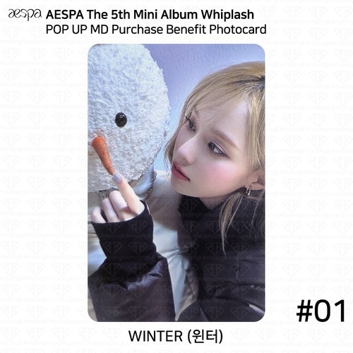 Tarjeta fotográfica benéfica Aespa quinto mini álbum latigazo cervical POP UP MD KARINA WINTER KPOP - Imagen 19 de 26