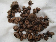 100 Natural Red Oak MINIATURE MINI WEE Acorn Caps 1/4 - 1/2" Crafts Single/Dbl