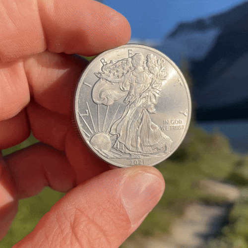 5 x 1 oz Titanium Round - American Eagle Coin design - 1 ounce (31 g) Fine [Ti] - Picture 9 of 13