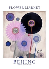 Flower Market Botanical Beijing Wall Art Print Poster Home Decor A4