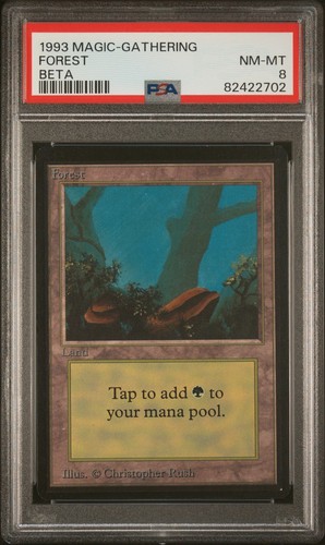Forest - Beta - MTG - NM to MINT - PSA 8 - Picture 1 of 2