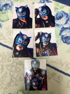 Starlight Kid Wrestling Mask Set Signed Ooya Stardom Ring Used