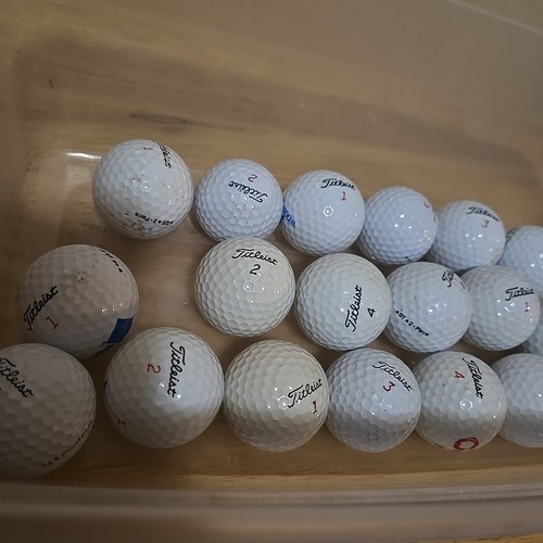 Mixed Lot Used Golf Balls 19 Titleist 5 Other Assorted Brands 24 Balls In Total - Picture 3 of 8