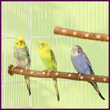 Natural Wood Bird Parakeet Stand Branch Fork Perch Rod Stand Paw Grinding Stick