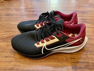 Men’s Florida State Nike Shoes Size 9.5 Air Zoom FSU Football Garnet Black