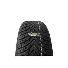 Firestone Winterhawk 4 XL M+S 3PMSF 255/45R19 104V Reifen Winter PKW