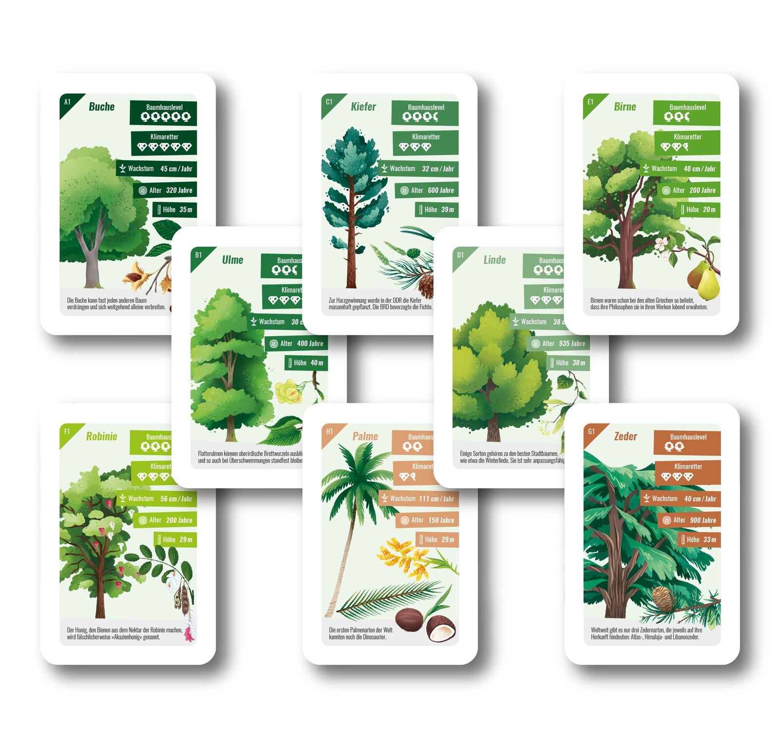 Thumbnail - Baum-quartett, Katapult-verlag