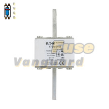 1PC Eaton BUSSMANN 170M5166 1000A 690V Fuse