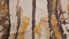 Foto 4 di 5