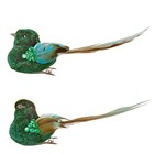 Christmas Tree Bird Decorations on Clip with Feathers 15cm Set of 2 - Green