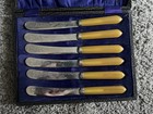 Vintage Boxed Set 6 Pate Butter Knives Silver Plated EPNS Red Celluloid Handles