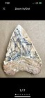 LARGE Heavy Replica Megalodon Shark Tooth 6” Cool Art Ad Or Display Potential — photo 7