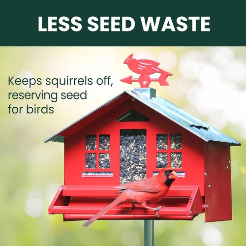 Squirrel-Proof Country House Bird Feeder - 8lb Seed Capacity - Foto 12 di 13