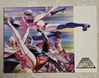 2002 Dynamic Forces Battle of the Planets  Promo card