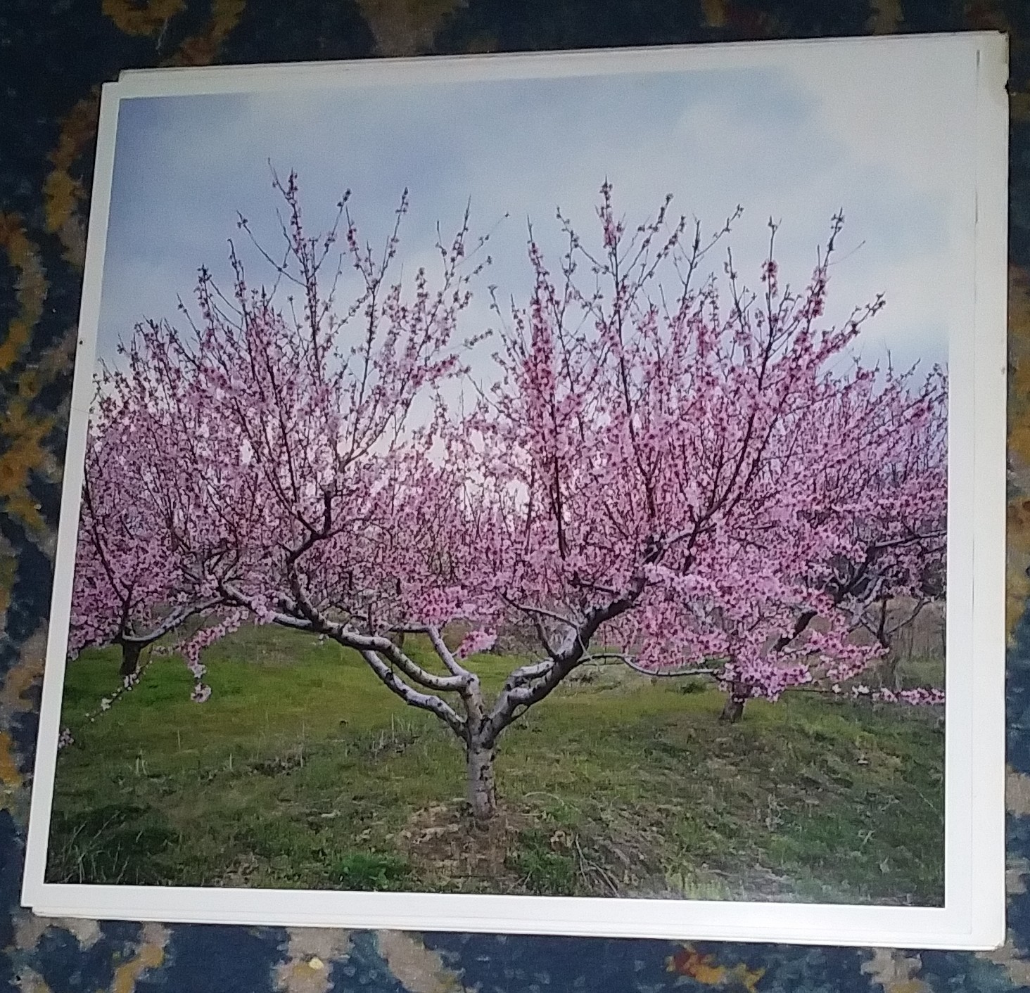 Picture 3 of 4
