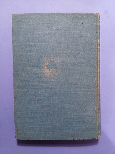 Ein Hund von Flandern: Eine Weihnachtsgeschichte 1901 Hardcover Vintage Antik Buch - Bild 2 von 14