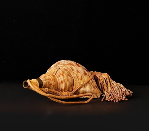 Stunning Horagai Conch shell trumpet 19Century ZF43 - Picture 4 of 15