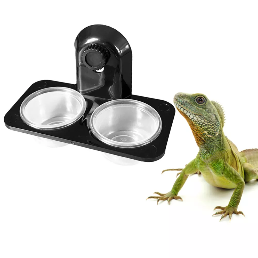 Feeder lizards top