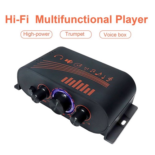 HiFi Power Amp 2 Channel Mini 40W DC12V Multifunctional Sound Stereo Home Car - Picture 17 of 24