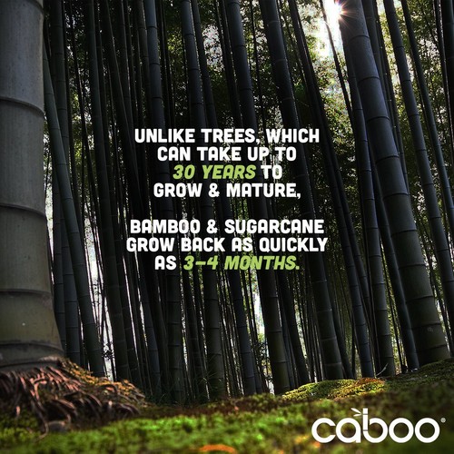 Caboo Bambus Baby Feuchttücher Flip-Top 30er Pack (12er Pack) - Bild 3 von 4