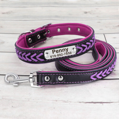 Collar y correa de perro personalizados de cuero trenzado acolchado nombre de mascota etiqueta grabada - Imagen 20 de 33