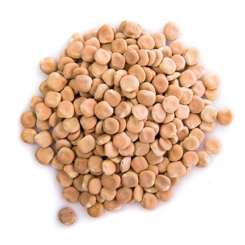 Lupini Secchi Del Salento Kg 1 - 第 1/1 張圖片