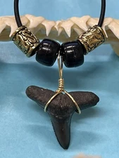 SHARK TOOTH NECKLACE ..7/8 Inch LEMON Shark Tooth From Venice Florida 