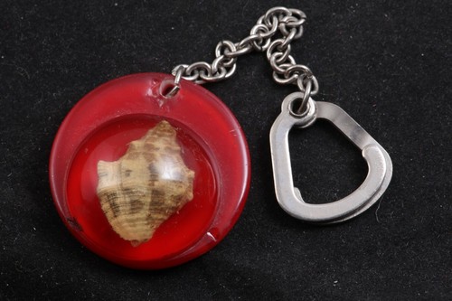 Hungary Hungarian Conch Seashell Fossil Communist Keychain Fob Medal Retro - Picture 1 of 3