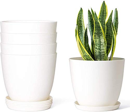 Plastic Plant Pots for Plants with Saucers, Indoor Set of 5 6.5" Cream White - Foto 1 di 6