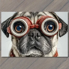 Art Print Pug Dog Glasses Closeup Funny Nerd Expression Big Eyes Animal