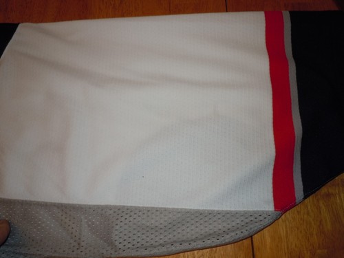 HARTFORD WOLF PACK JERSEY GOALIE 58 G WHITE RANGER LADY LIBERTY VTG RARE - Picture 9 of 9