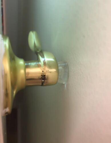 12-Pack Clear Door Bumpers - Wall Protectors to Silence Slamming Doors - Picture 4 of 9