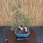 Foto 2 di 8